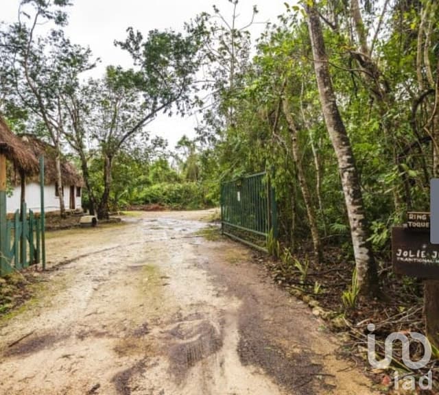 Puerto Morelos, Terreno en venta, Quintana Roo