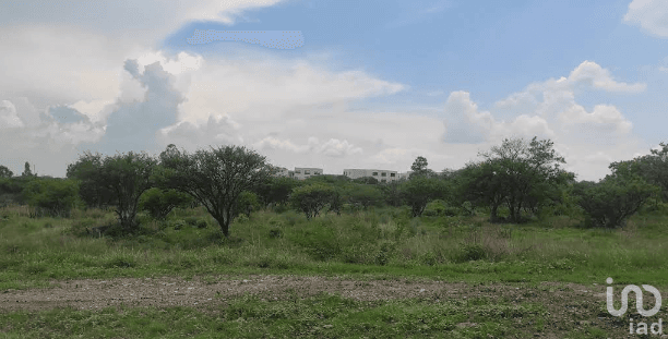 TERRENO QUERETARO ZARU