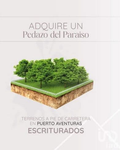 PLAYA DEL CARMEN VENTA DE TERRENO