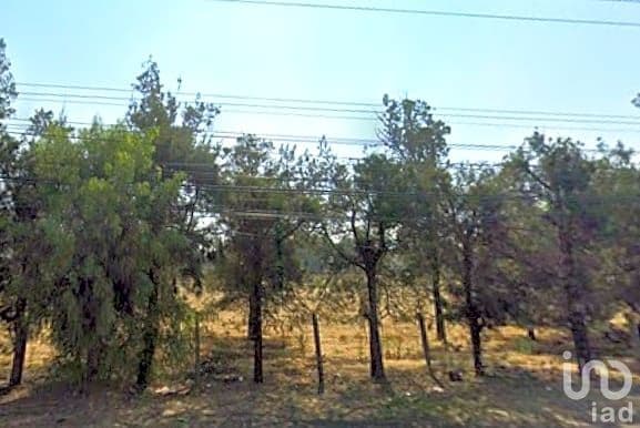 Fotos adicionales