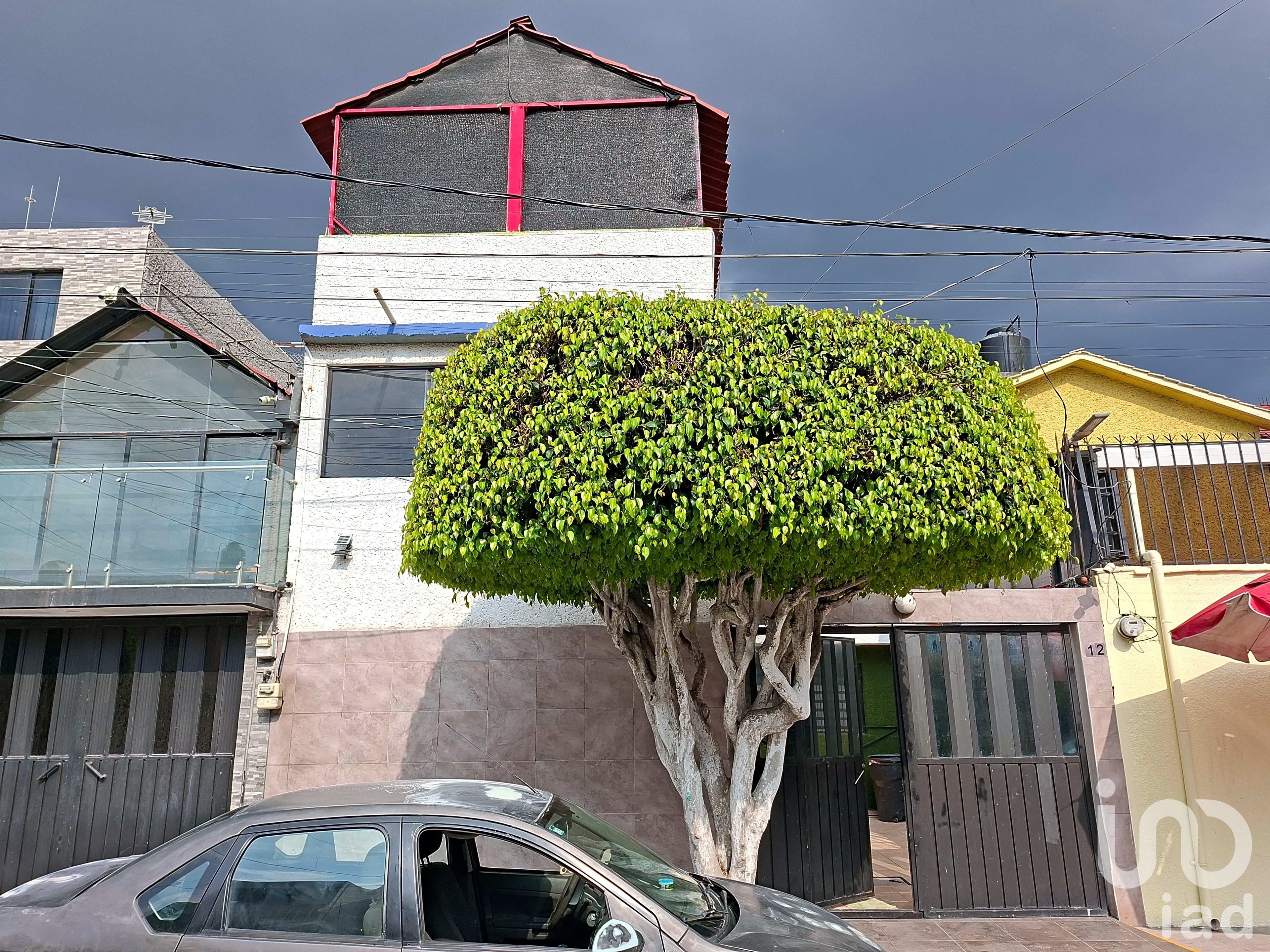 Fotos adicionales