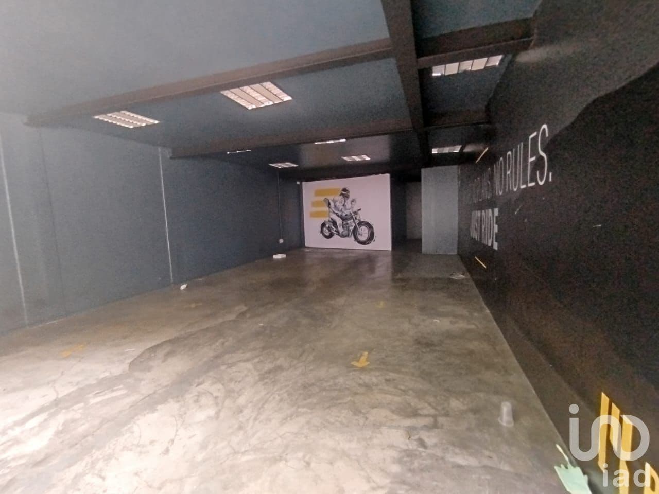 Fotos adicionales