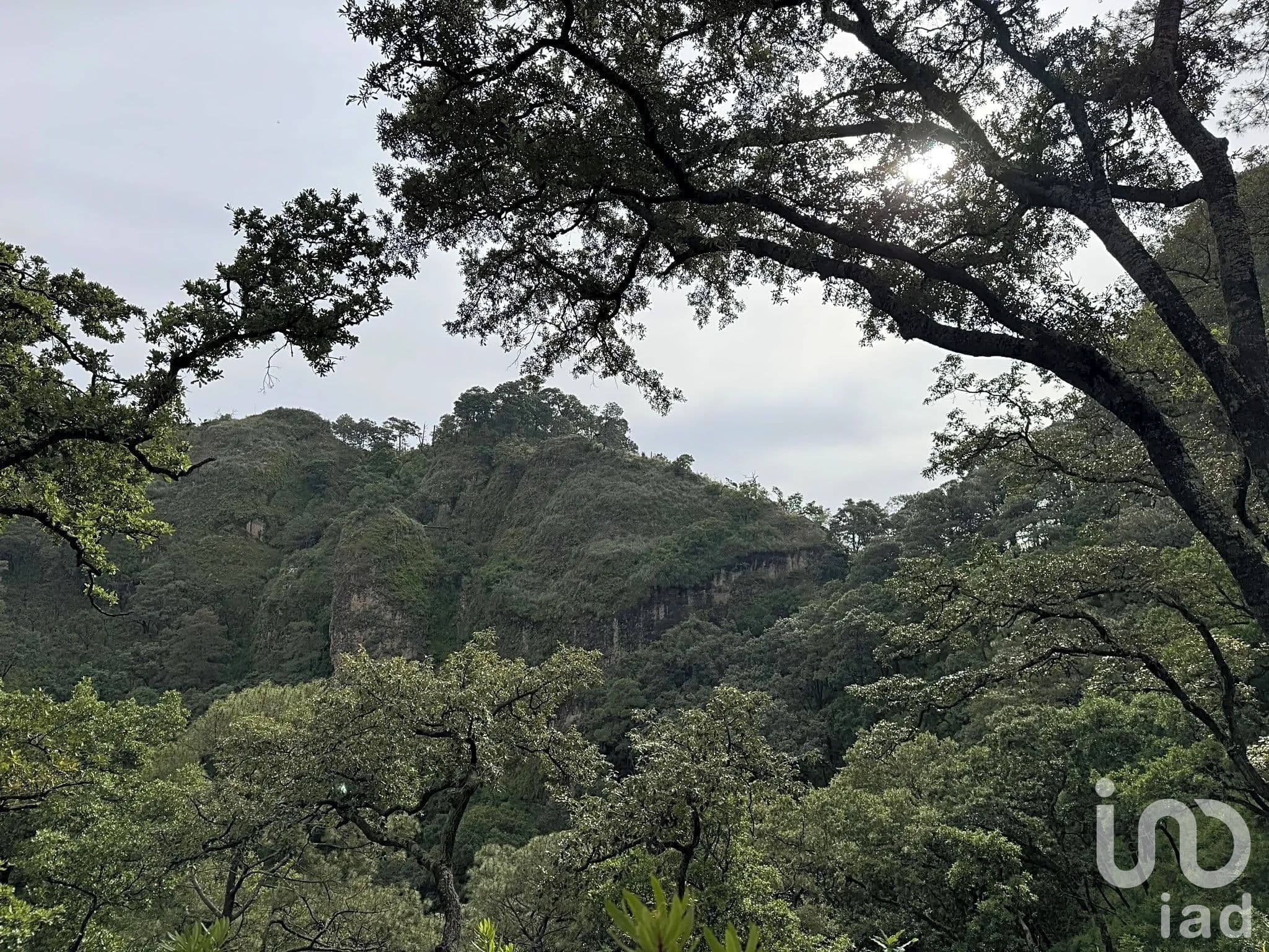 Fotos adicionales