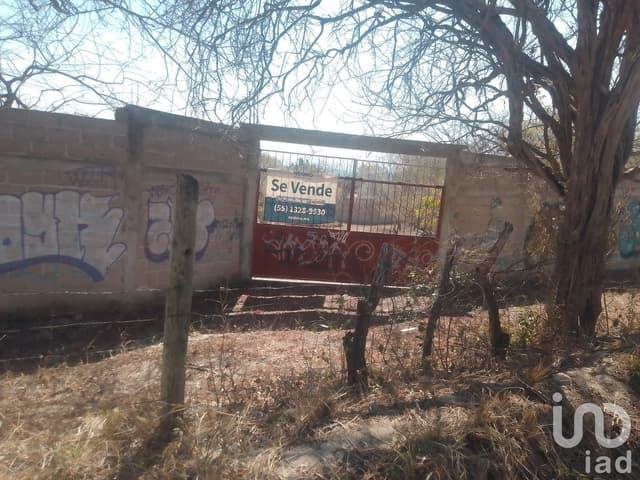 Terreno en Venta en Plan de Ayala, a 5 minutos del Balneario Ejidal San Agustín El Aguaje