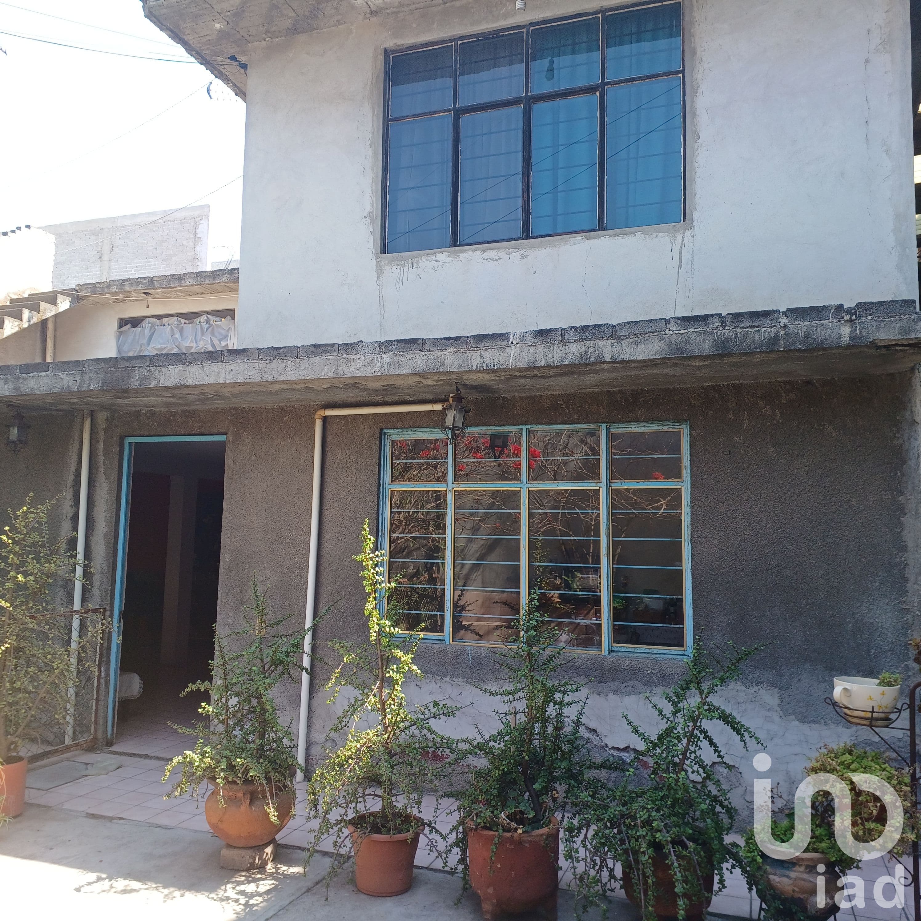 Fotos adicionales