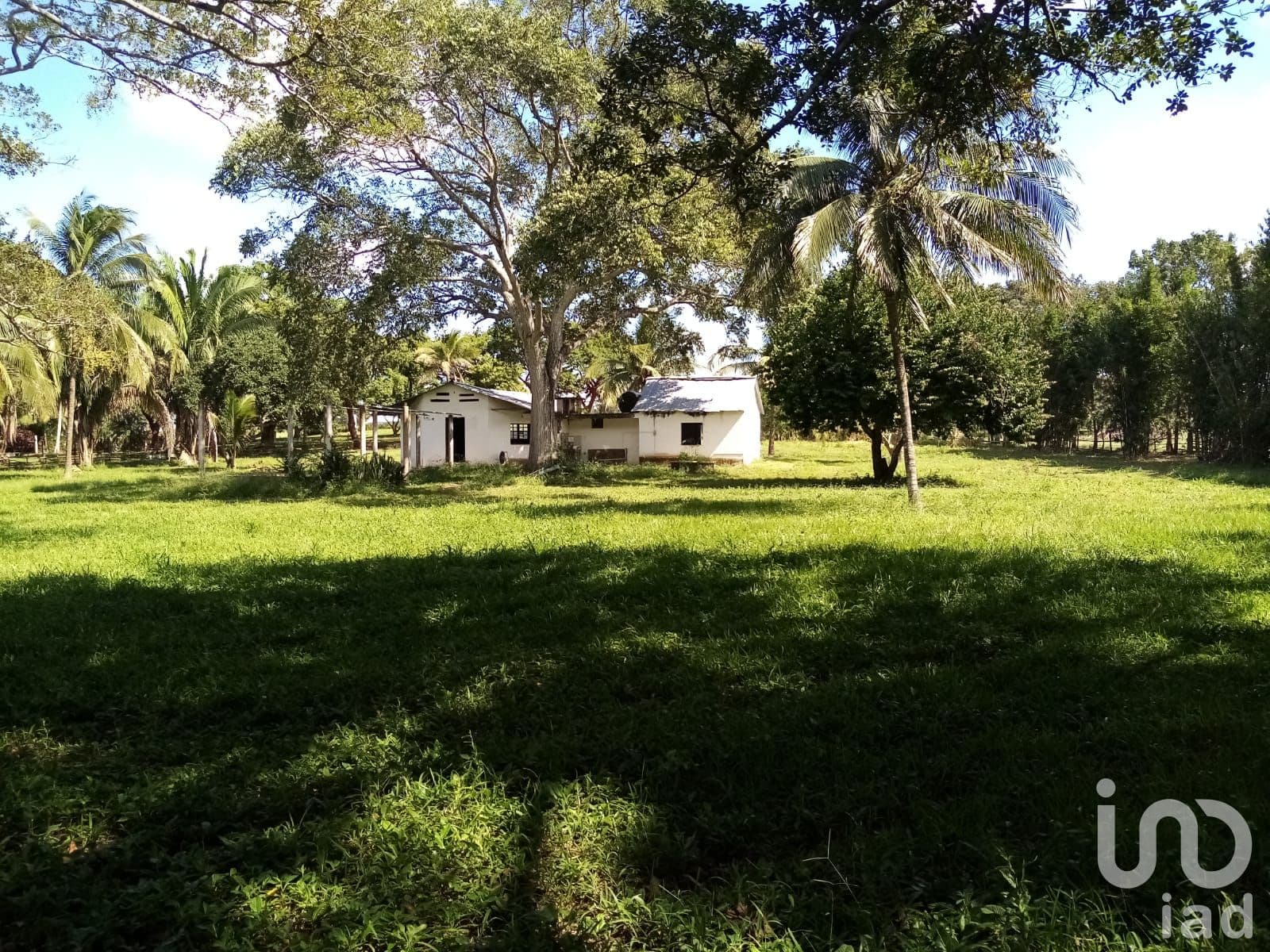 Fotos adicionales