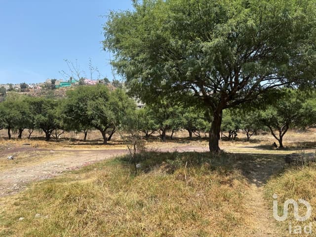 TERRENO DE 21500m2 EN VENTA, SAN MIGUEL DE ALLENDE, GTO.