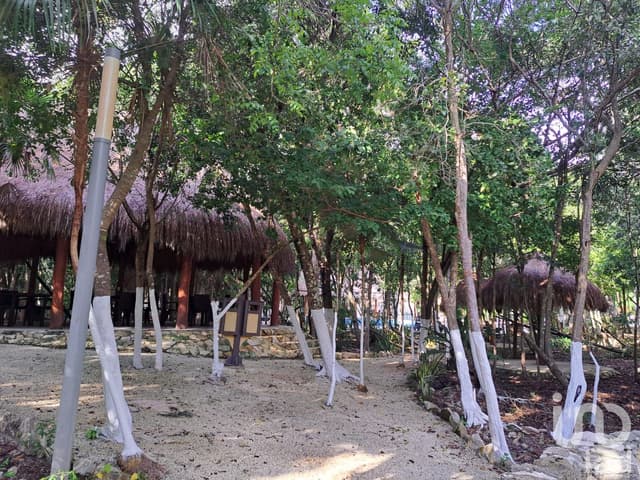 TERRENO EN VENTA PUNTA PUERTO MORELOS