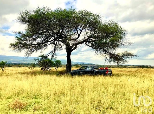 VENTA DE TERRENOS MIXTOS