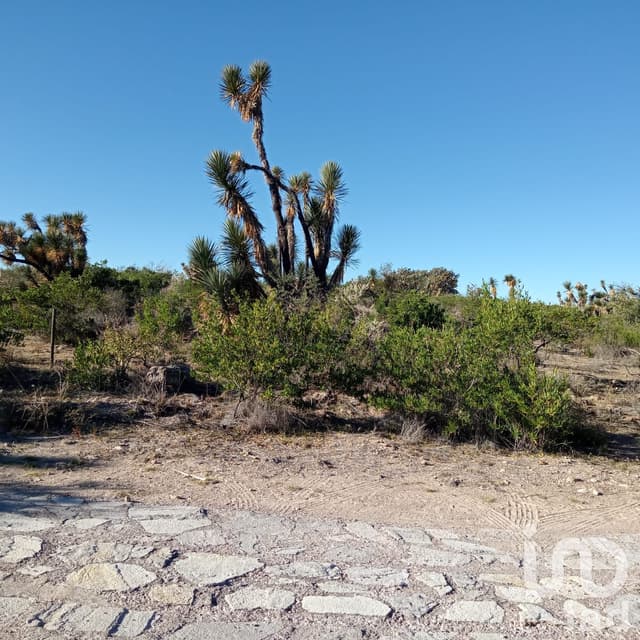 SE VENDE TERRENO EN RANCHO SECO, 10,132 METROS CUADRADOS, POR LA POSTA,JESUS MARIA, AGUASCALIENTES