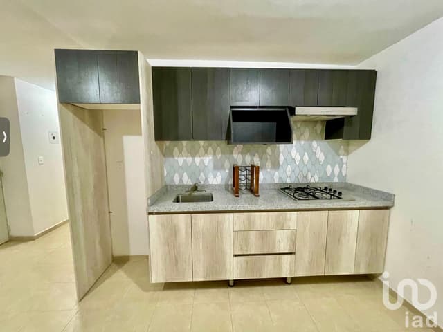 Departamento Equipado en Renta Planta Media Real Solare Condominio Dabi (64)