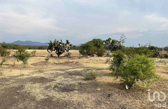Venta de terreno Rustico de uso mixto La Granada, Apaseo El Alto, Guanajuato