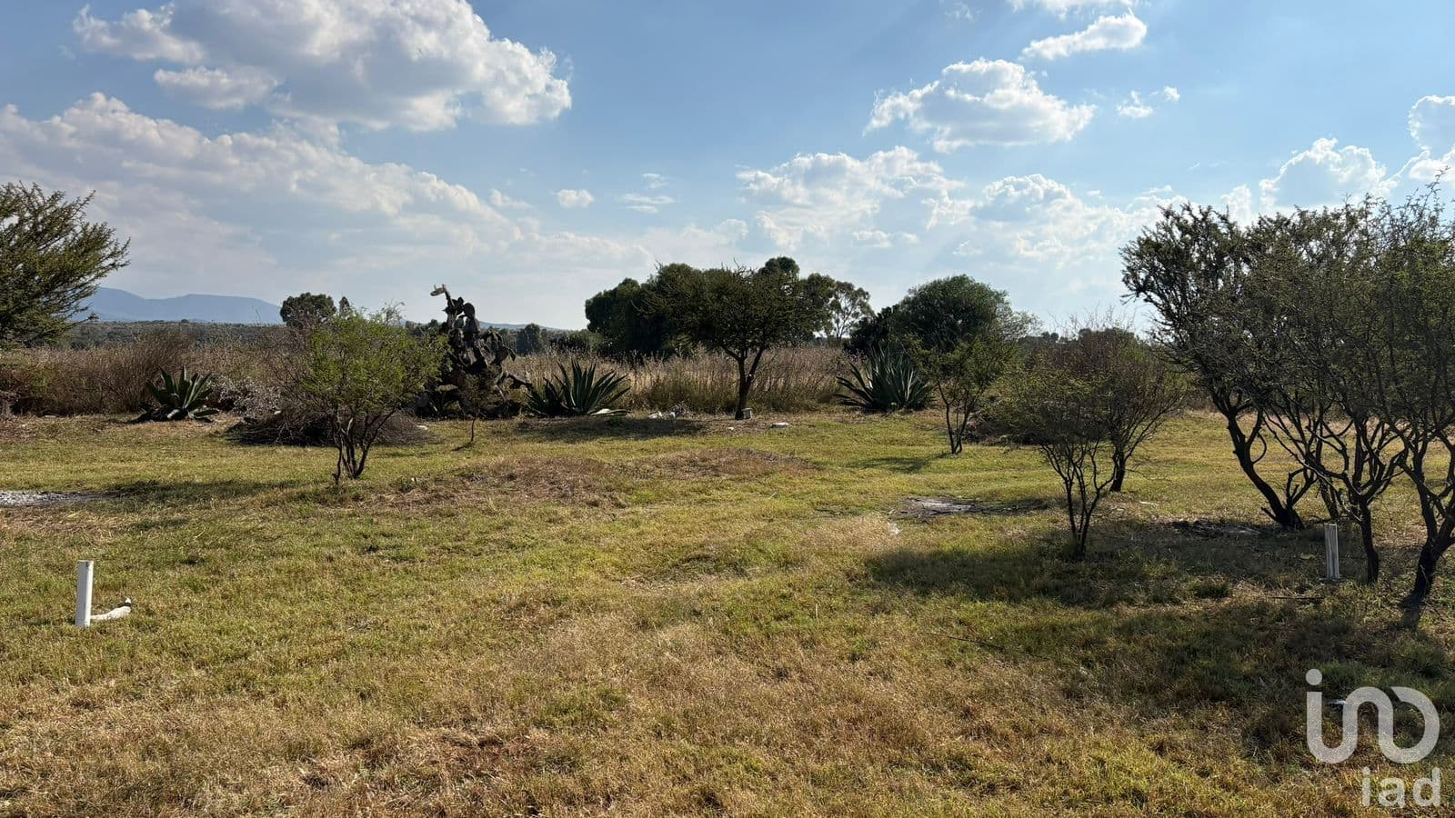 Fotos adicionales