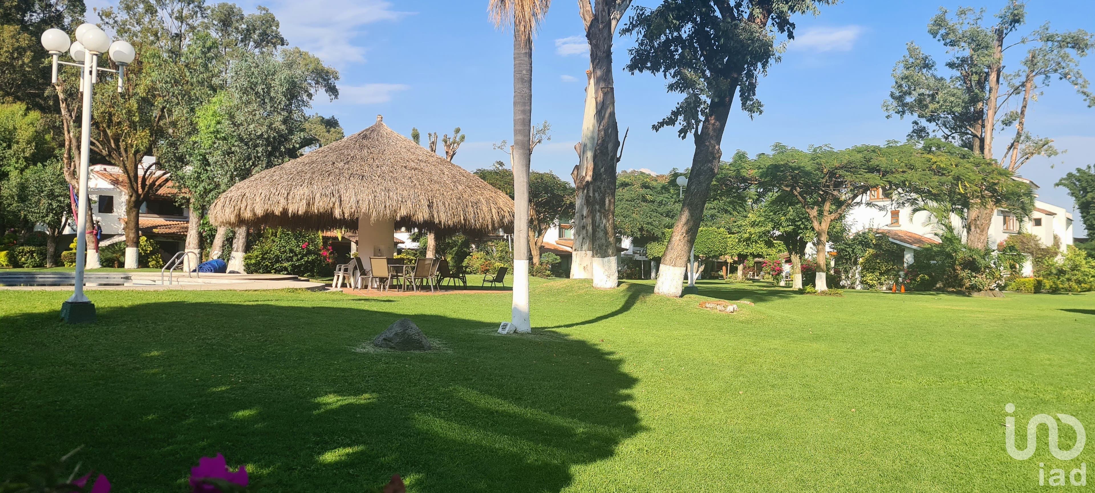 Fotos adicionales