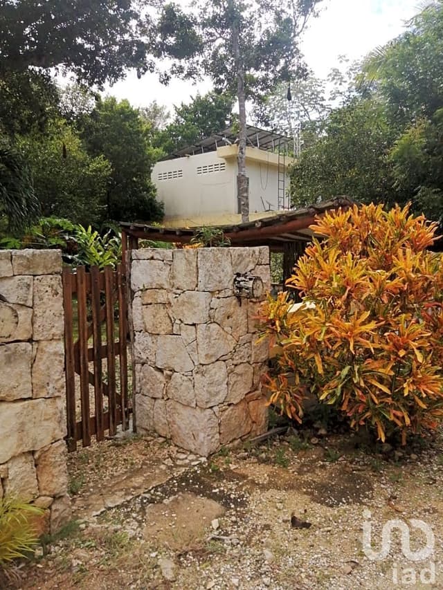 TERRENOS EN VENTA EN CHEMUYIL, TULUM