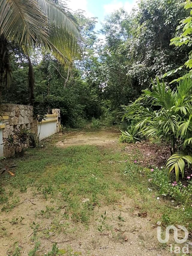 TERRENOS EN VENTA EN CHEMUYIL, TULUM