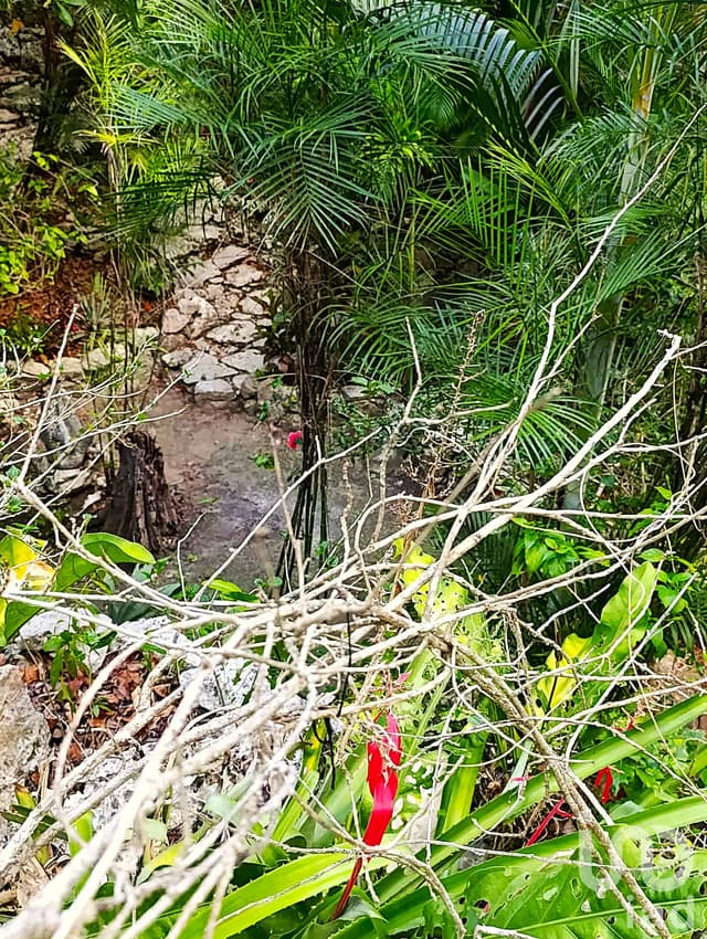 TERRENO ECOLÓGICO CON POSIBILIDAD DE CONSTRUIR HASTA 20 VIVIENDAS. PUEBLO SACBE