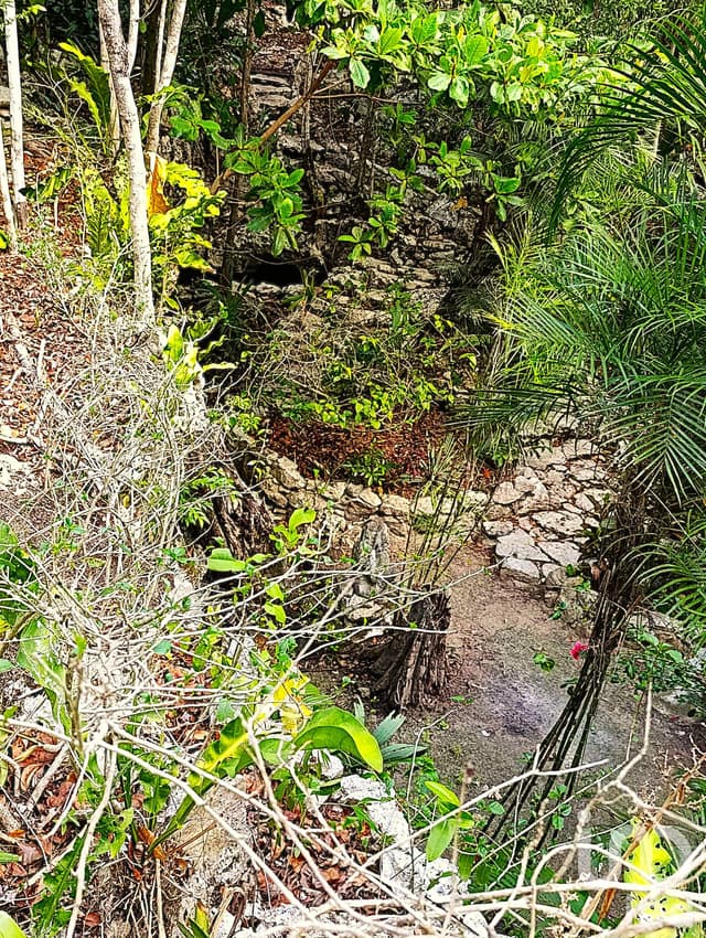 TERRENO ECOLÓGICO CON POSIBILIDAD DE CONSTRUIR HASTA 20 VIVIENDAS. PUEBLO SACBE