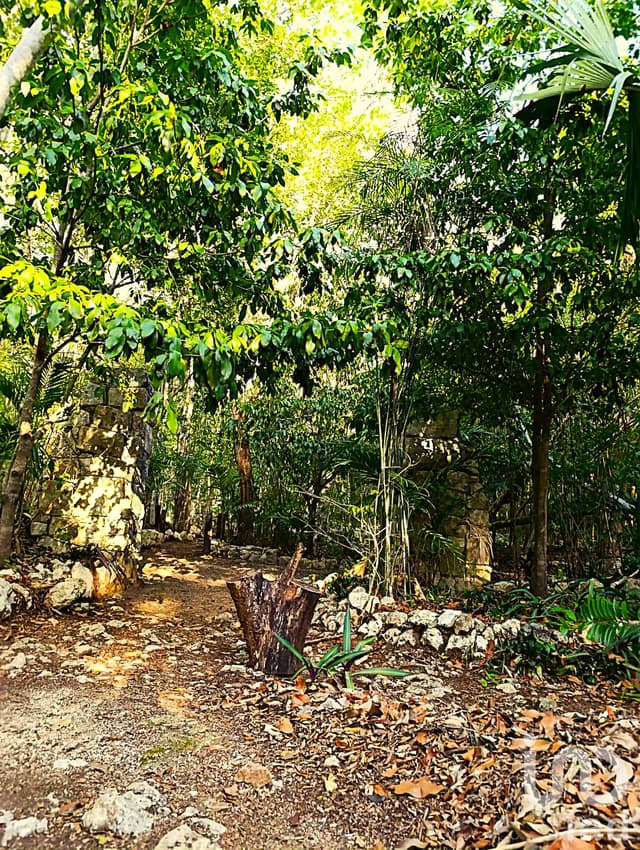 TERRENO ECOLÓGICO CON POSIBILIDAD DE CONSTRUIR HASTA 20 VIVIENDAS. PUEBLO SACBE