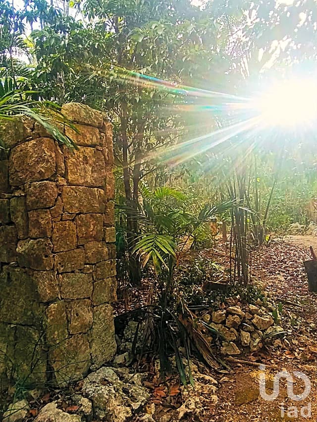 TERRENO ECOLÓGICO CON POSIBILIDAD DE CONSTRUIR HASTA 20 VIVIENDAS. PUEBLO SACBE