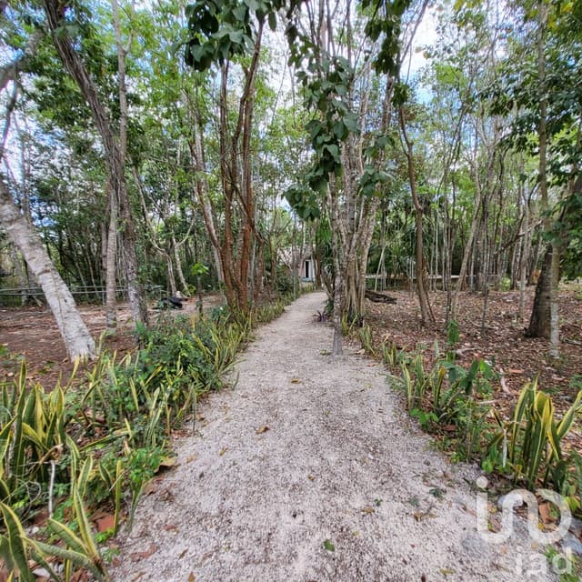 TERRENO CAMPESTRE EN VENTA OPORTUNIDAD DE INVERSIÓN LEONA VICARIO CANCUN