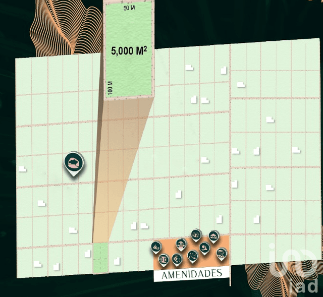 TERRENO CAMPESTRE EN VENTA OPORTUNIDAD DE INVERSIÓN LEONA VICARIO CANCUN