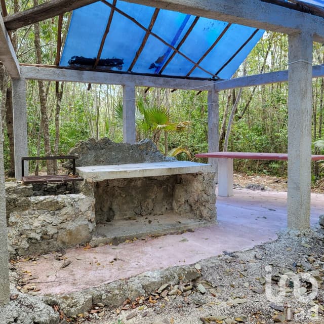 TERRENO CAMPESTRE EN VENTA OPORTUNIDAD DE INVERSIÓN LEONA VICARIO CANCUN