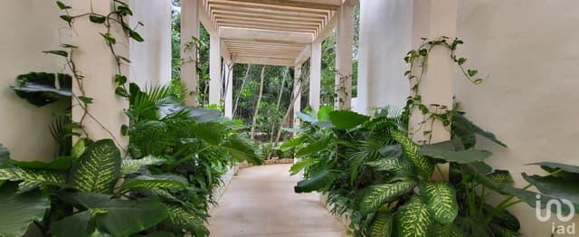DEPARTAMENTO EN VENTA RESIDENCIAL AQUA CANCUN QUINTANA ROO