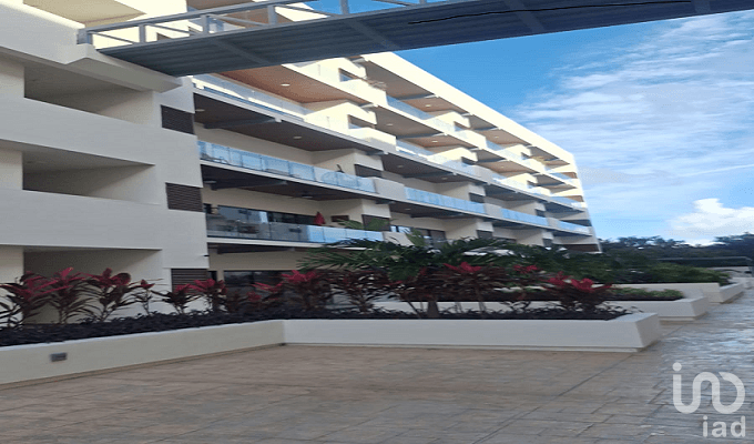 Fotos adicionales
