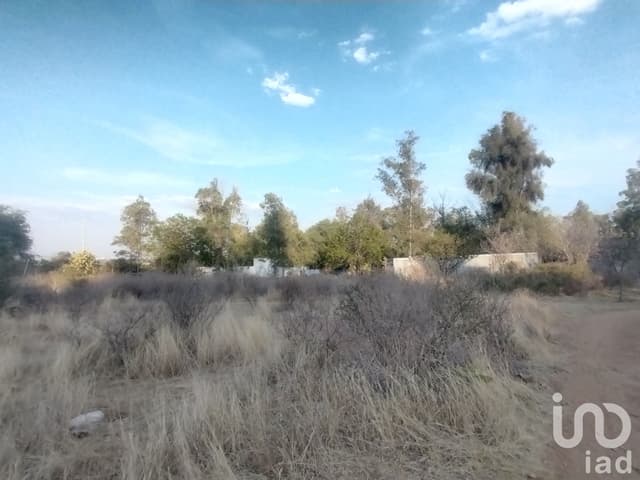 Terreno en Venta en La Tomatina